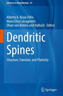 Dendritic Spines