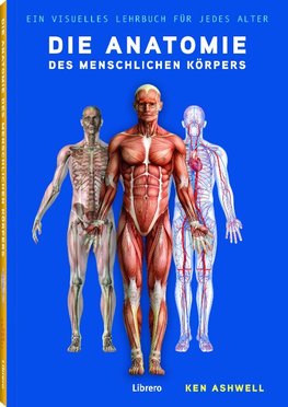 Die Anatomie des Menschlichen Körpers