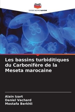 Les bassins turbiditiques du Carbonifère de la Meseta marocaine