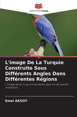 L'image De La Turquie Construite Sous Différents Angles Dans Différentes Régions