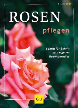 Rosen pflegen