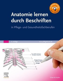 Anatomie lernen durch Beschriften