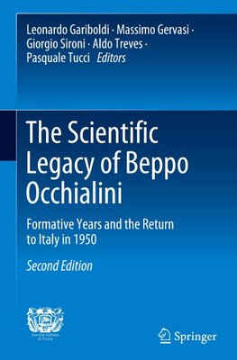 The Scientific Legacy of Beppo Occhialini