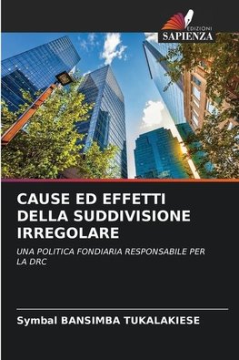 CAUSE ED EFFETTI DELLA SUDDIVISIONE IRREGOLARE