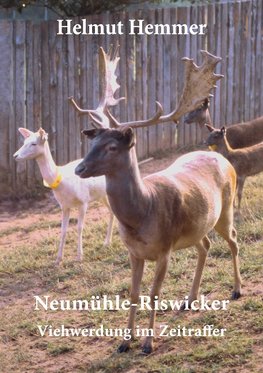 Neumühle-Riswicker