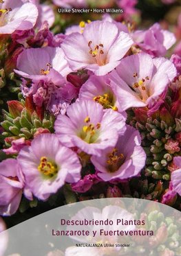 Descubriendo Plantas Lanzarote y Fuerteventura