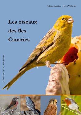 Les oiseaux des îles Canaries