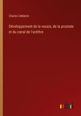 Développement de la vessie, de la prostate et du canal de l'uréthre