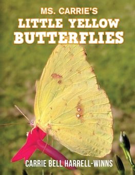 Ms. Carrie's Little Yellow Butterflies