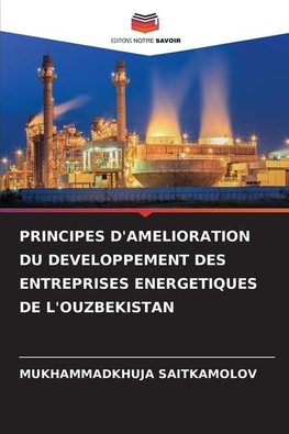 PRINCIPES D'AMELIORATION DU DEVELOPPEMENT DES ENTREPRISES ENERGETIQUES DE L'OUZBEKISTAN