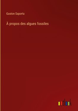 À propos des algues fossiles