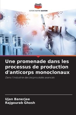 Une promenade dans les processus de production d'anticorps monoclonaux