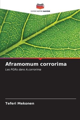 Aframomum corrorima