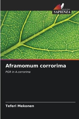 Aframomum corrorima