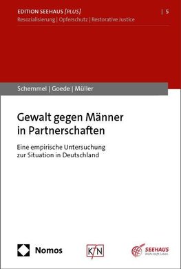 Gewalt gegen Männer in Partnerschaften