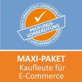 Maxi-Paket Lernkarten Kaufmann für E-Commerce