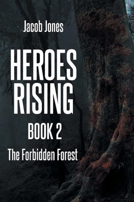 Heroes Rising Book 2