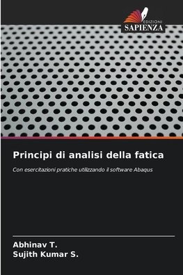 Principi di analisi della fatica