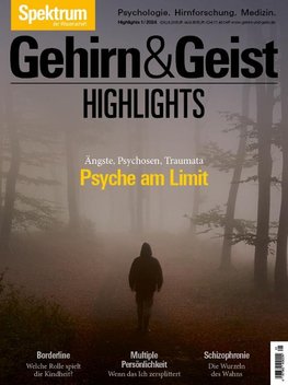 Gehirn&Geist Dossier - Psyche am Limit