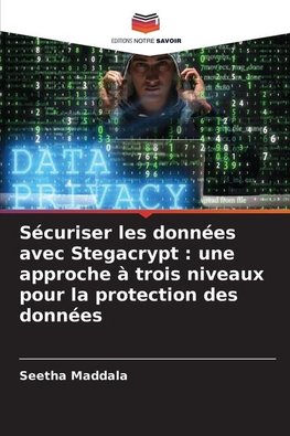 Sécuriser les données avec Stegacrypt : une approche à trois niveaux pour la protection des données