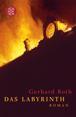 Roth, G: Labyrinth