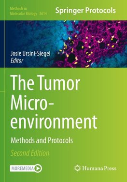 The Tumor Microenvironment