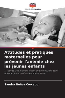 Attitudes et pratiques maternelles pour prévenir l'anémie chez les jeunes enfants