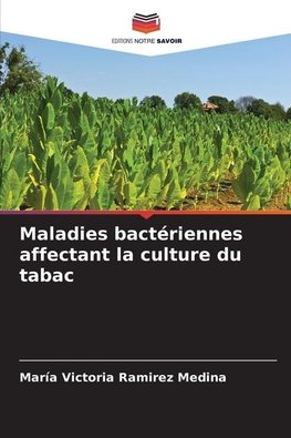 Maladies bactériennes affectant la culture du tabac