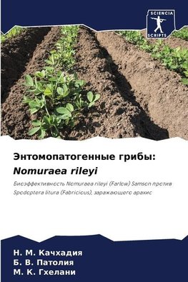 Jentomopatogennye griby: Nomuraea rileyi