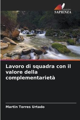 Lavoro di squadra con il valore della complementarietà