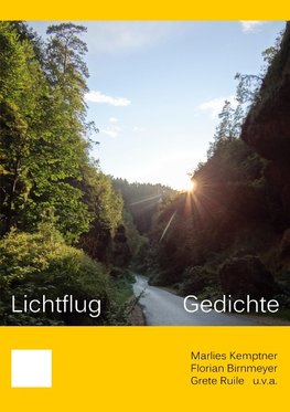 Lichtflug