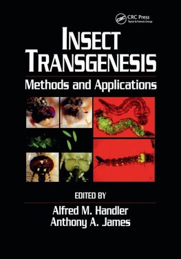 Insect Transgenesis