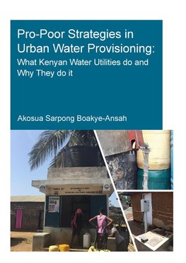 Pro-Poor Strategies in Urban Water Provisioning