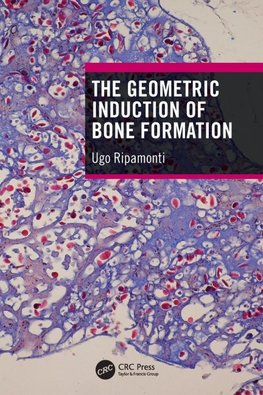 The Geometric Induction of Bone Formation