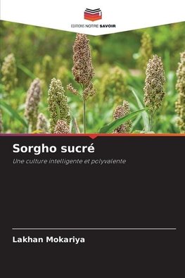 Sorgho sucré