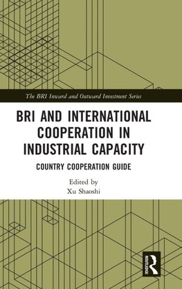 BRI and International Cooperation in Industrial Capacity