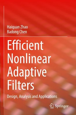 Efficient Nonlinear Adaptive Filters