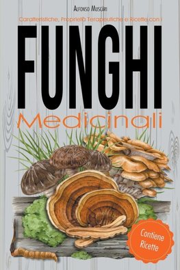 Caratteristiche, Proprietà Terapeutiche e Ricette con i Funghi Medicinali