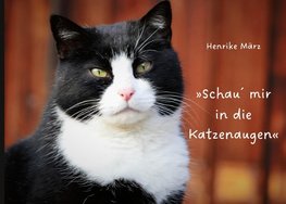 Schau´ mir in die Katzenaugen