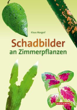 Schadbilder an Zimmerpflanzen