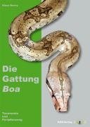 Die Gattung Boa