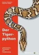 Der Tigerpython