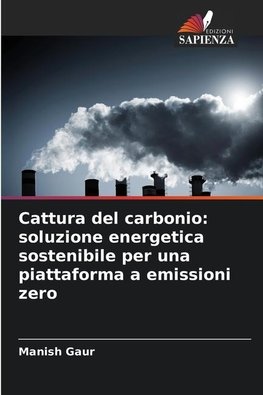 Cattura del carbonio: soluzione energetica sostenibile per una piattaforma a emissioni zero