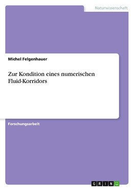 Zur Kondition eines numerischen Fluid-Korridors