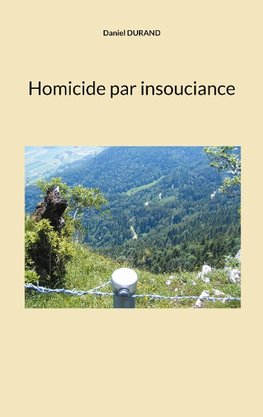 Homicide par insouciance