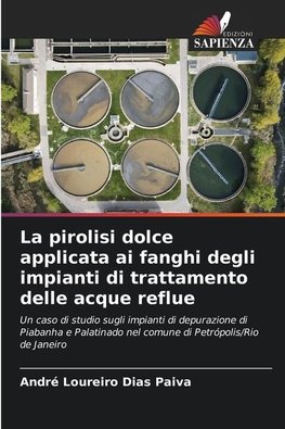 La pirolisi dolce applicata ai fanghi degli impianti di trattamento delle acque reflue