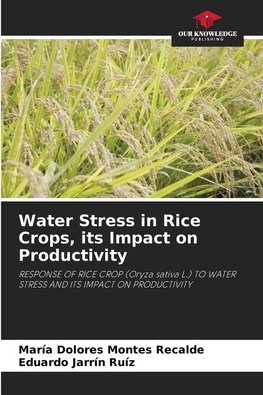 Water Stress in Rice Crops, its Impact on Productivity