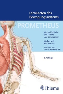 PROMETHEUS LernKarten des Bewegungssystems