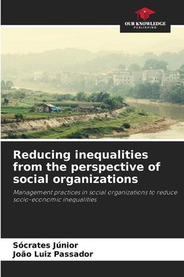 Reducing inequalities from the perspective of social organizations