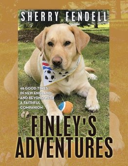 Finley's Adventures